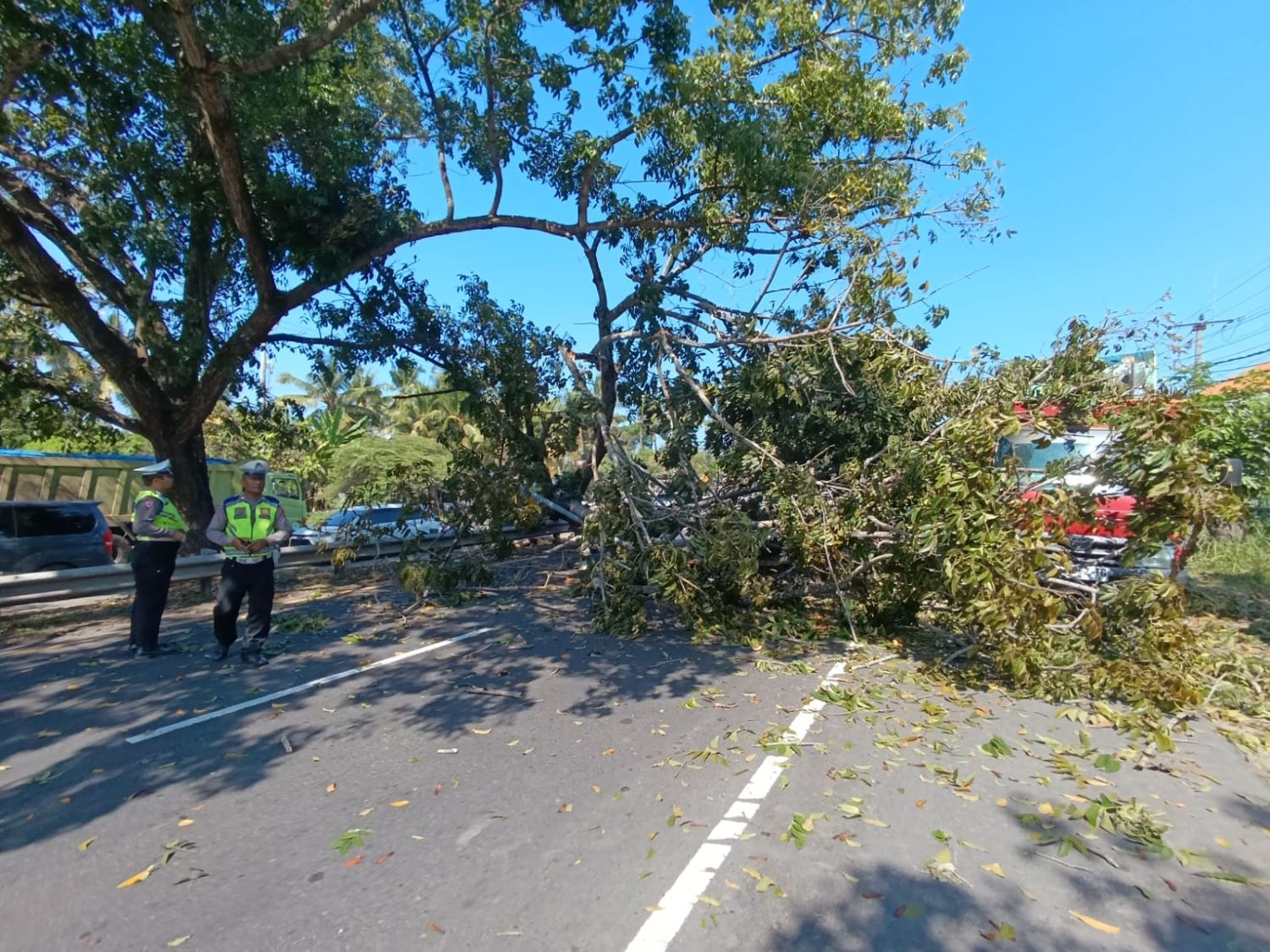 MUSIBAH: Petugas memotong dan membersihkan pohon yang menindih truk parkir.