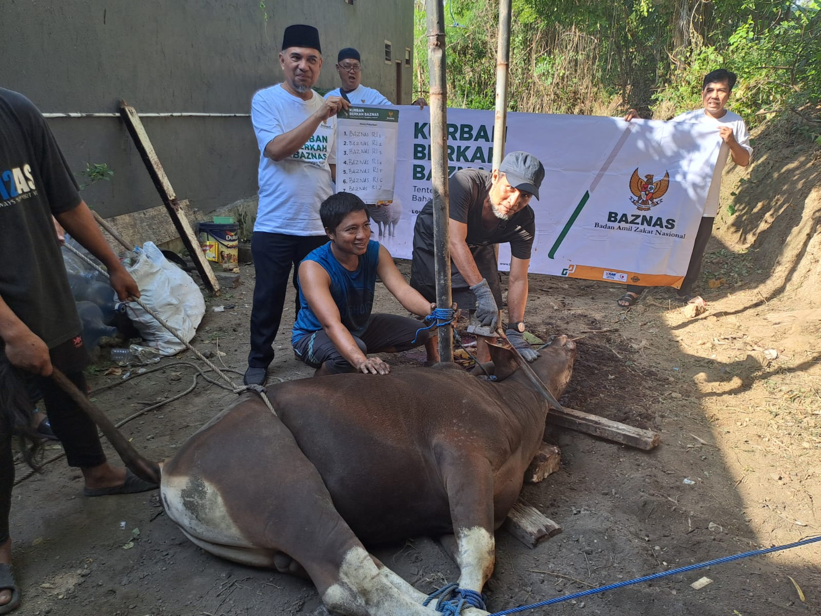 Ketua BAZNAS Kota Denpasar Feri Hendri (pegang spanduk kiri) menyaksikan pemotongan hewan kurban di hari kedua Idul Adha 1445 H.