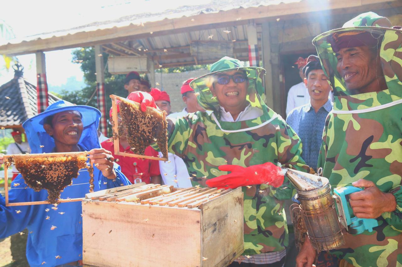 MADU ALAM: Bupati Tabanan I Komang Gede Sanjaya sedang memanen madu bersama petani Selemadeg