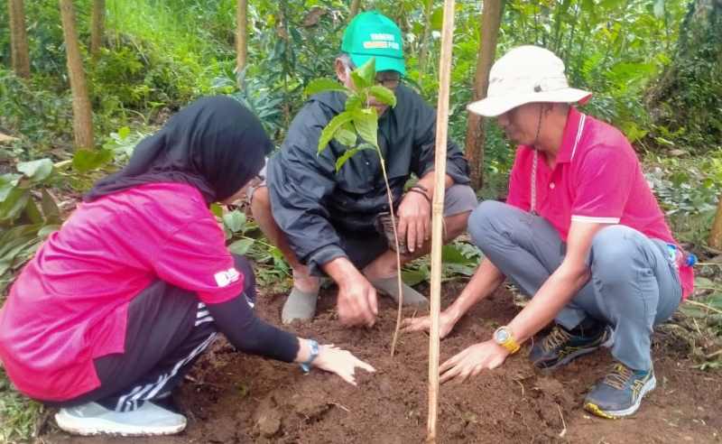 PENGHIJAUAN : Penanaman pohon imbuhan seperti kopi dan durian dilakukan oleh petani di Desa Senganan, Penebel Tabanan, Yayasan EDEP, MSU Malaysia dan PNB Bali.(juliadi/radar bali)