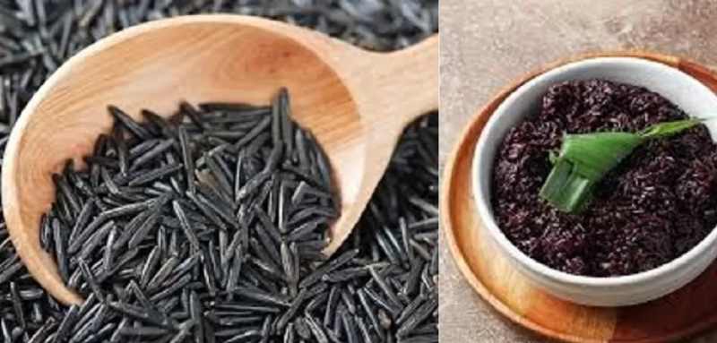ilustrasi beras hitam- istimewa