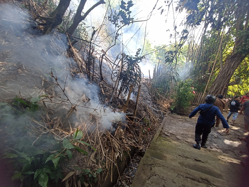 KEBAKARAN: Lahan kosong yang telah mengalami kebakaran di wilayah Kota Denpasar.