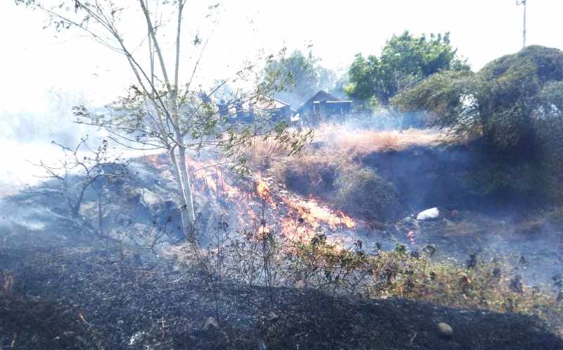 BELASAN HEKTARE: Si jago merah melahap lahan kosong di Banjar Dinas Nusu, Desa Sukadana, Kecamatan Kubu . (Istimewa)