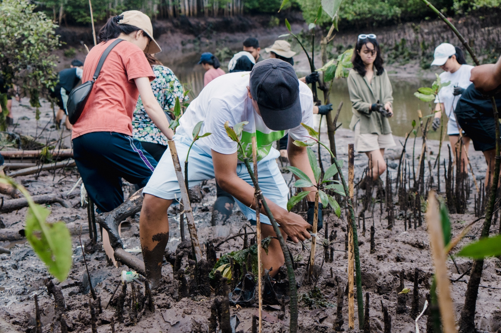 FINNS Bali Bersama komunitas Minutes of Manager dan Bali YPW menanam 300 mangrove di area estuari mangrove Jimbaran, Minggu 28 Juli 2024. (FINNS Bali)