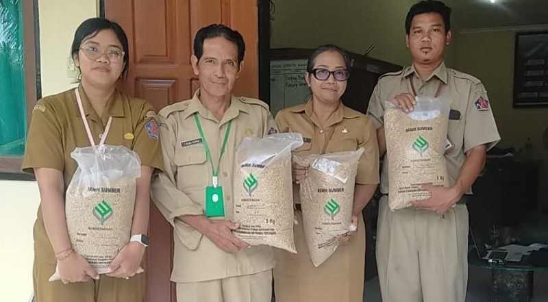 DAPAT JATAH BIBIT GOGO : Bibit padi gogo yang diserahkan dari Distan Buleleng kepada petani. Padi gogo ini diharapkan menjadi solusi penanaman padi di lahan kering. (Foto: Dinas Pertanian Buleleng )