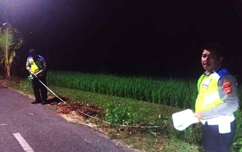 DATANGI LOKASI KEJADIAN : Polisi lalu lintas melakukan olah TKP di Jalan Gunung Batukaru, lokasi kecelakaan tunggal.(polres buleleng)