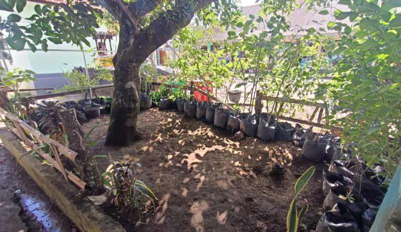 RIMBUN DAN ORGANIK : Kebun organik yang berada di SDN 3 Alasangker bertujuan sebagai lokasi edukasi dan salah satu upaya mencegah stunting.( Foto: Dinas Kominfosanti Buleleng untuk Radar Bali)