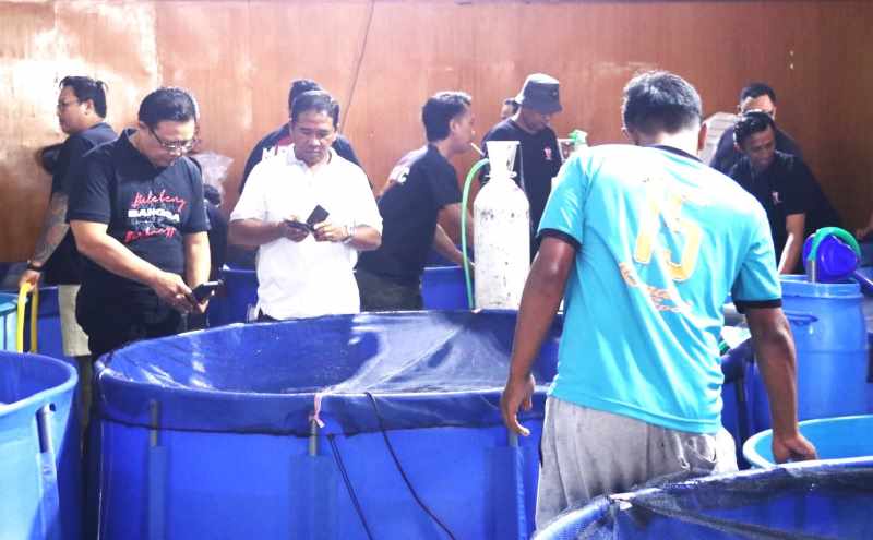 PARA PENGGEMAR KOI: Festival Koi ke-2 kembali digelar yang kini untuk memeriahkan HUT ke-79 RI. (Foto: Dinas Kominfosanti Buleleng untuk Radar Bali)