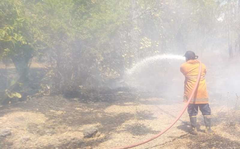 PADAMKAN API : Petugas Damkartan Karangasem saat melakukan pemadaman api yang membakar lahan di wilayah Banjar Dinas Lebah, Desa Sukadana, Kecamatan Kubu.(Istimewa)