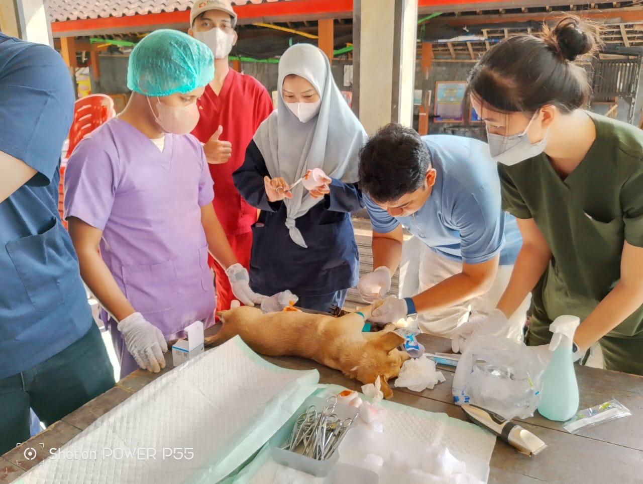 KERJA SAMA: Tim FKH Udayana, RS Hewan Pendidikan, LPPM (KKN program Udayana Mengabdi) dan Dinas Pertanian dan Pangan Jembrana (21/8/2024). (FKH Udayana)