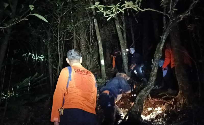 DICARI DI HUTAN : Proses pencarian pendaki asal Prancis dan tiga orang anaknya yang tersesat di Gunung Batukaru oleh Basarnas dan tim gabungan.(Istimewa)