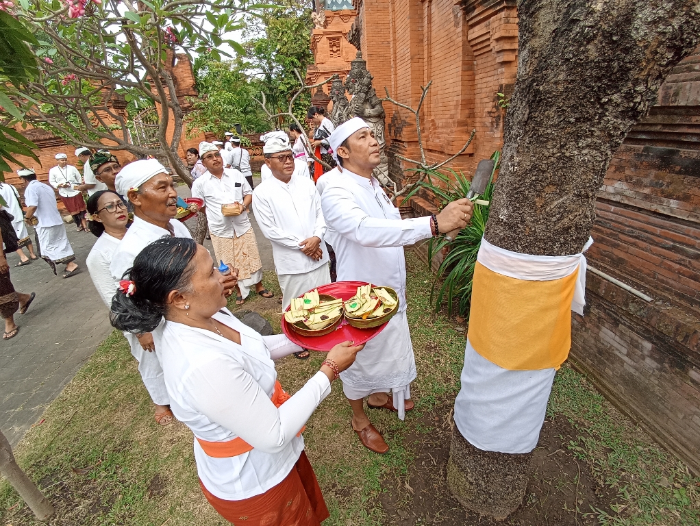 PENGHORMATAN: Pemkot Denpasar melakukan persembahyangan di Pura Agung Lokanatha Lumintang, sekaligus penghormatan kepada tumbuh-tumbuhan, Sabtu 31 Agustus 2024.