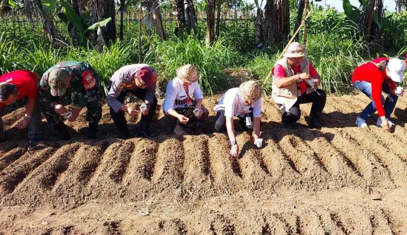 TANAM PADI GOGO : Petani di Baturuti bersama Dinas Pertanian Tabanan yang menanam padi gogo. (juliadi/radar bali)