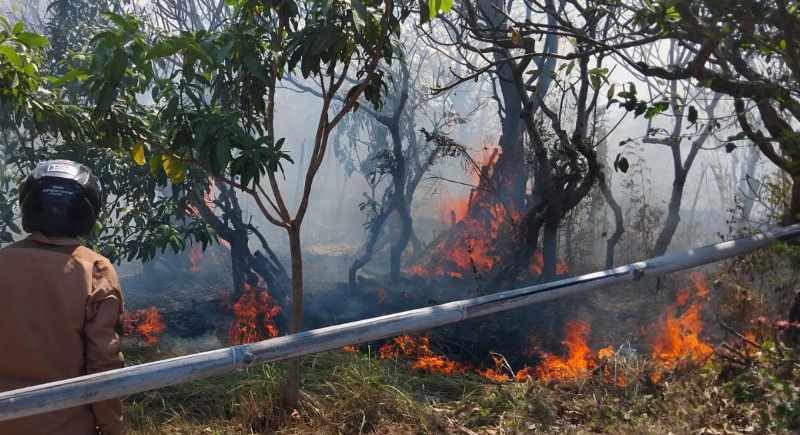PADAMKAN API : Petugas Damkar Karangasem saat melakukan penanganan kebakaran lahan di wilayah Kecamatan Kubu, Karangasem. (Istimewa)