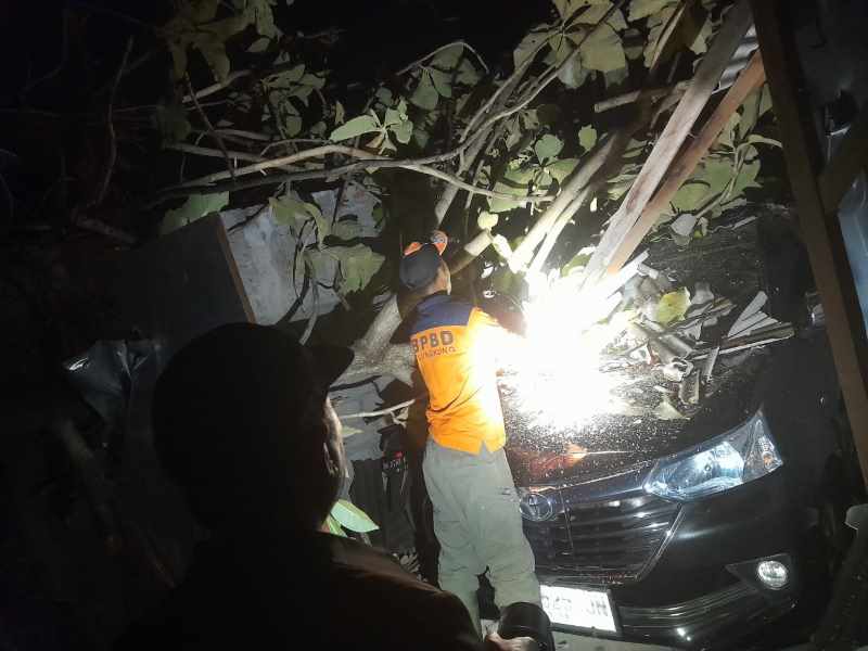 HARI NAHAS : Pohon tumbang menimpa garasi sewaan milik Ida Bagus Gede Suarsana di Semarapura. ( Foto: BPBD Klungkung)