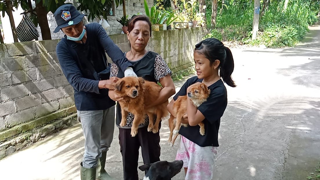 MASIH MENGANCAM: Vaksinasi anjing rabies di Denpasar beberapa waktu lalu