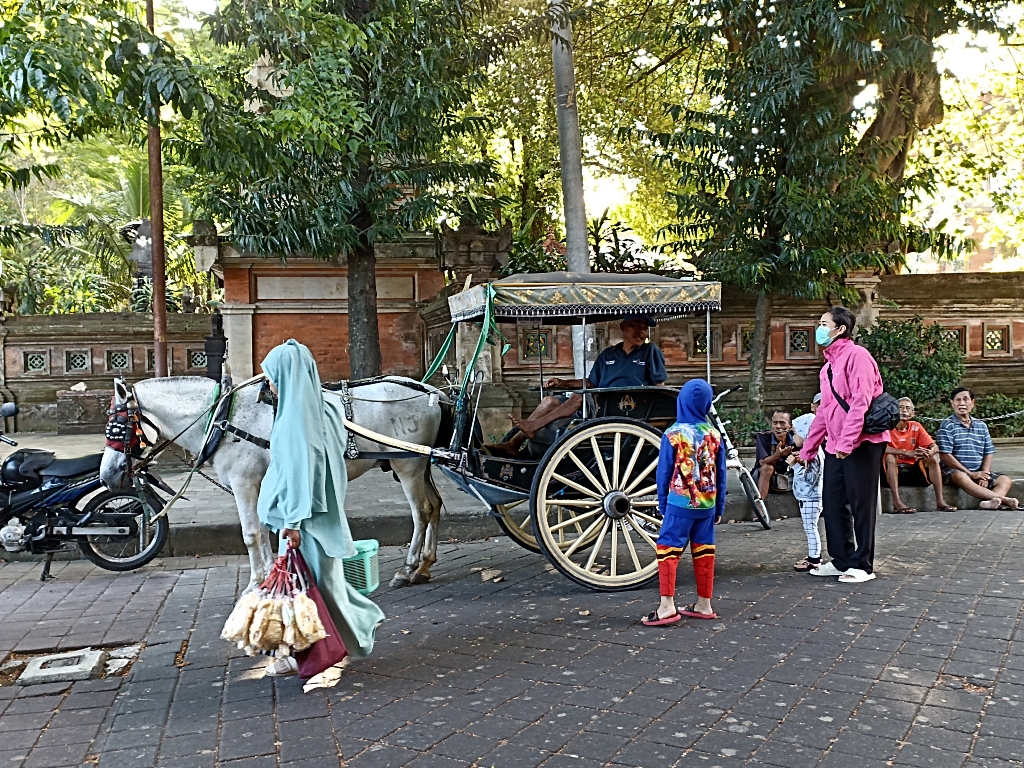 DOKAR: Kuda Dokar sebagai menjadi penunjang operasional Denpasar Heritage City Tour Kota Denpasar, rutin mendapat pemeriksaan kesehatan.