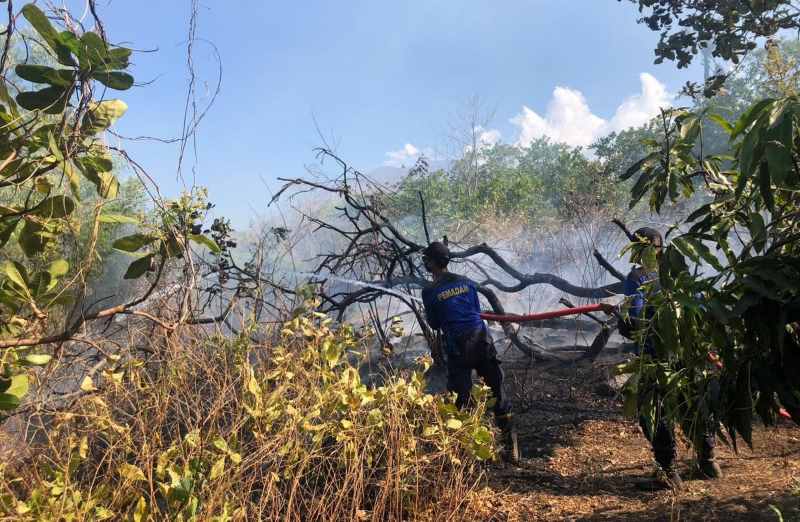 KEBAKARAN TERUS TERJADI : Petugas Damkartan Karangasem saat melakukan pemadaman api di Desa Sukadana yang melahap hektaran lahan. (foto: istimewa)