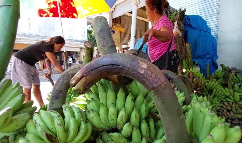 LARIS MANIS JELANG GALUNGAN : Salah seorang pedagang pisang di Pasar Amlapura Barat. (Foto :  zulfika rahman)