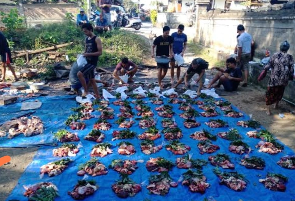 SIAP DIBAGIKAN : Suasana masyarakat Desa Pandak Gede saat nampah atau potong kerbau Jelang Hari Raya Galungan.( Foto Krama Desa Pandak Gede,Kediri,Tabanan)
