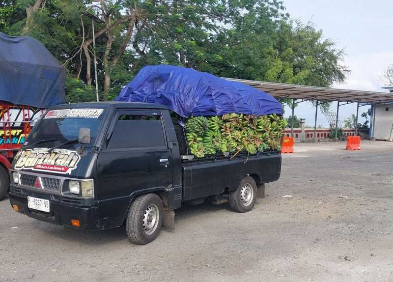 LARIS SAAT GALUNGAN : Kendaraan pikap mengangkut  buah masuk Bali jelang Hari Raya Galungan. (FOTO UPPKB CEKIK, JEMBRANA)