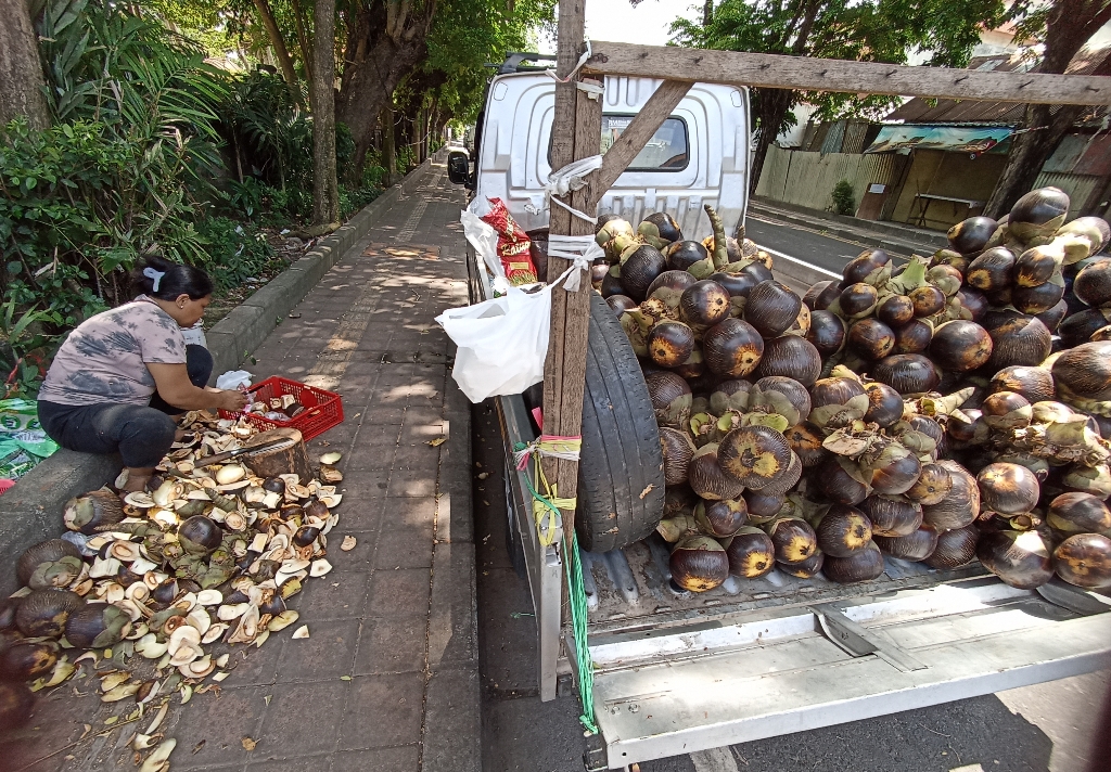 PANEN PEMBELI: Penjual buah lontar di Denpasar panen pembeli setelah viral di media sosial.