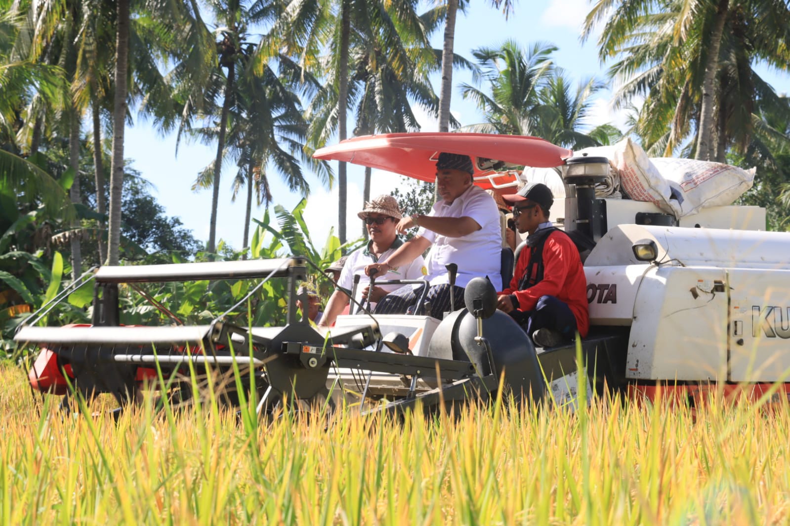 I Nengah Tamba dalam sebuah kesempatan panen raya bersama petani