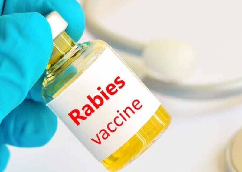 ilustrasi vaksin antirabies-aido health-JPG