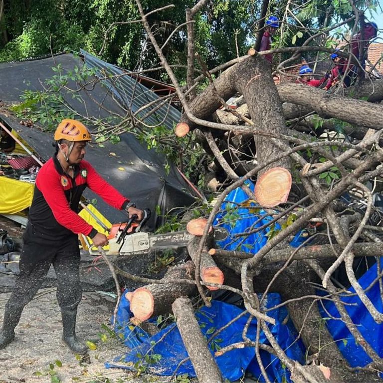 TUMBANG: Petugas saat melakukan evakuasi pohon tumbang di lapangan eks Tragia Nusa Dua yang menimpa stand pameran kemarin.