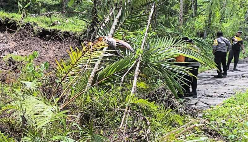 AKSES JALAN TERTUTUP: Tim reaksi cepat di lokasi kejadian bersihkan pohon tumbang dan tanah longsor di Banjar Pengeragoan Dangin Tukad, Desa Pengeragoan, Kecamatan Pekutatan.(Foto: BPBD Jembrana)
