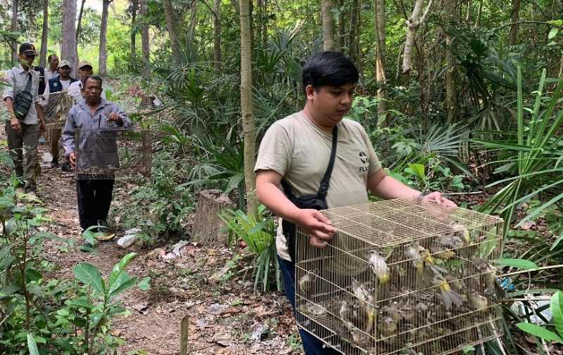 DILEPASLIARKAN : Petugas melepasliarkan 310 burung spesies pengicau, yakni burung trucuk, branjangan ke kawasan hutan produksi terbatas, Sumberklampok.( Foto: Balai KSDA Bali untuk Radar Bali)