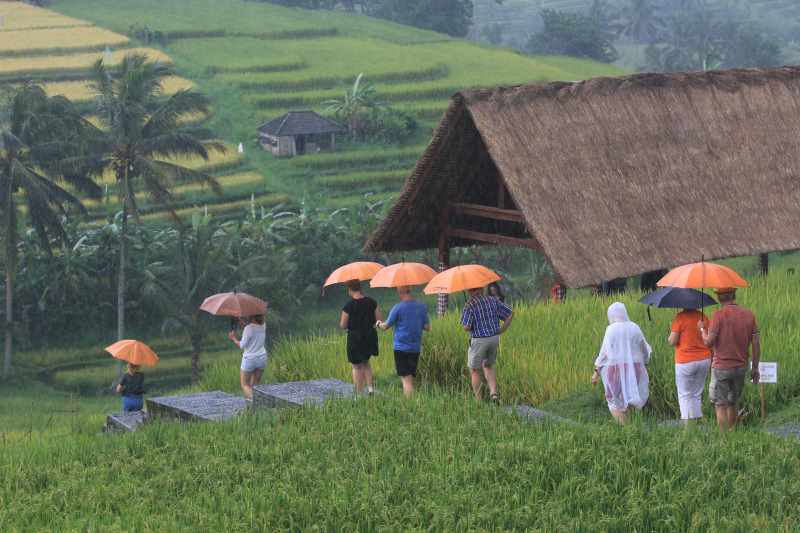 PERLU PERLINDUNGAN LAHAN : Pertanian di Jatiluwih, Tabanan,  yang eksotik dan ikonik. (juliadi/radar bali)