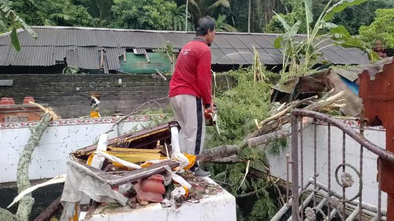 DIBERSIHKAN : Petugas BPBD Karangasem saat melakukan penanganan pohon tumbang yang menimpa bangunan, di Desa Lokasari, Kecamatan Sidemen ( Foto BPBD Karangasem)