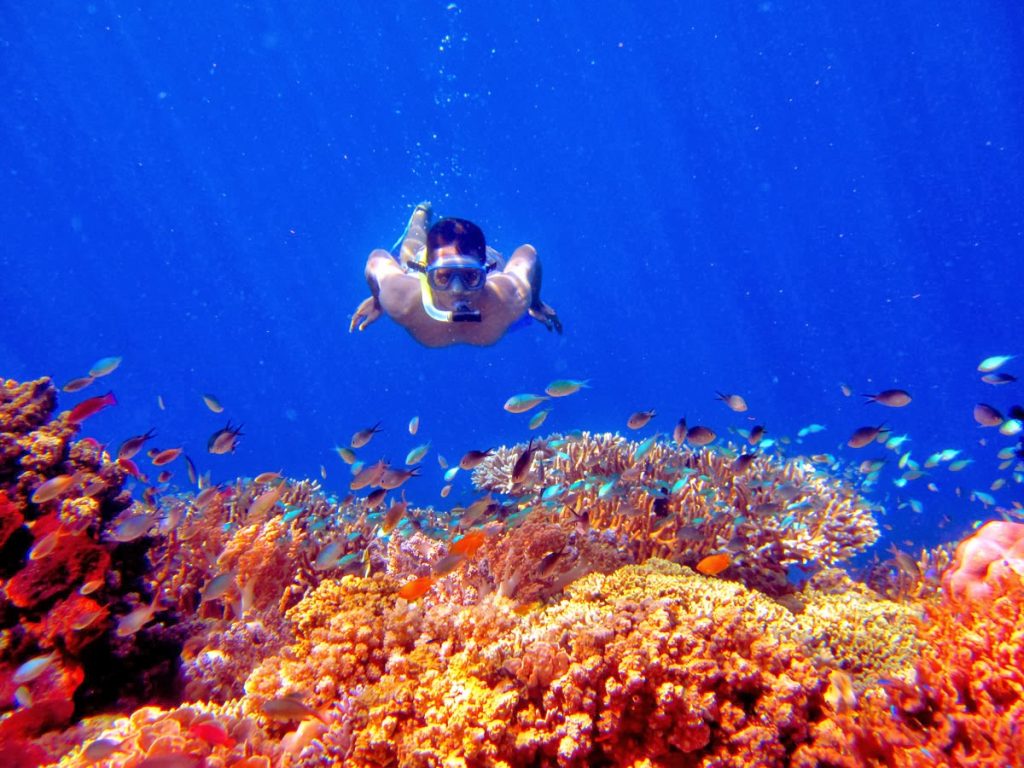 SURGA TERSEMBUNYI - Terumbu karang di spot snorkeling Cave Point Pulau Menjangan.