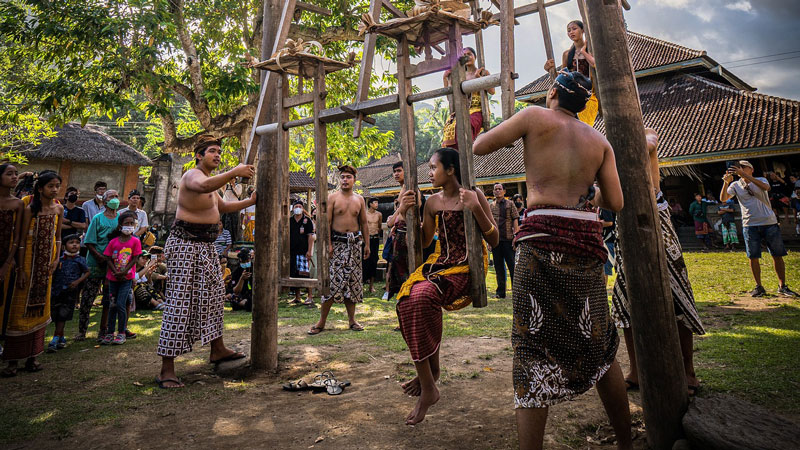 AYUNAN JATRA - Remaja putri yang sudah dewasa Desa Tenganan Pegringsingan menjalani tradisi ayunan jatra sebagai simbol kesiapan berada di atas dan di bawah.