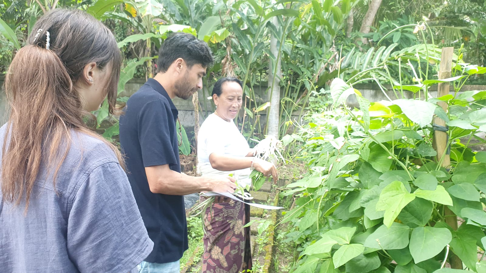 METIK SAYUR: Wisatawan bisa metik sayur dan langsung memasak dalam cooking class di Desa Selumbung Manggis Karangasem.