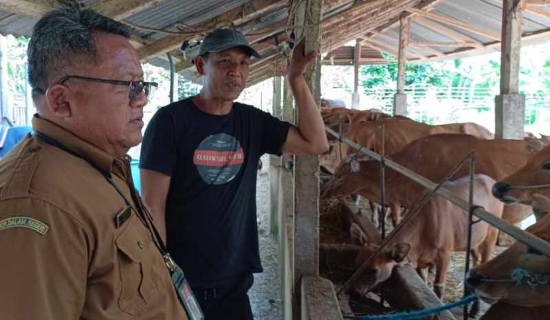 PETAKAN VAKSINASI : Bidang Kesehatan dan Peternakan Hewan Dinas Pertanian tabanan yang mulai melakukan vaksinasi PMK di Banjar Seribupati, Desa Cau Belayu, Marga.(juliadi)