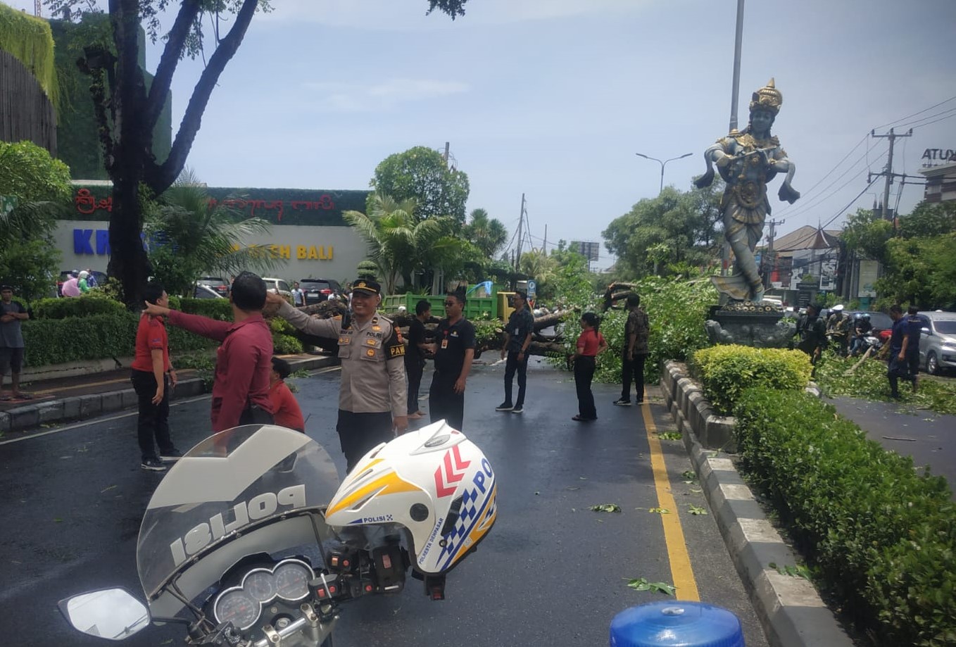 DI BADAN JALAN RAYA: Pohon santen tua tumbang di Jalan By Pass Ngurah Rai Kuta, tepatnya di depan Krisna Oleh-oleh, Minggu 9 Februari 2025