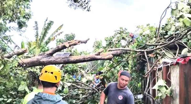 CUACA BURUK : Kondisi penanganan pohon tumbang  yang menimpa bangunan rumah warga yang berada Banjar Jadi Anyar, Kediri Tabanan.  (Foto BPBD Tabanan untuk Radar Bali)