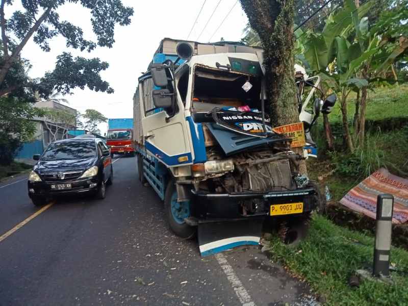 RINGSEK DEPAN : Kondisi truk tronton bermuatan bata ringan yang mengalami rem blong menghantam pohon perindang di pinggir Jalan Denpasar-Gilimanuk. (juliadi)
