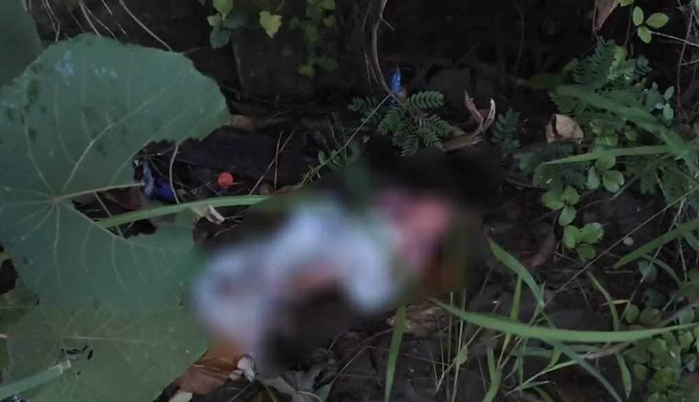 DIBUANG: Bayi dengan balutan kain putih ditemukan pejalan kaki di tepi Jalan Pengiasan, Sidakarya, Denpasar, Kamis 20 Februari 2025 sekitar pukul 06.00