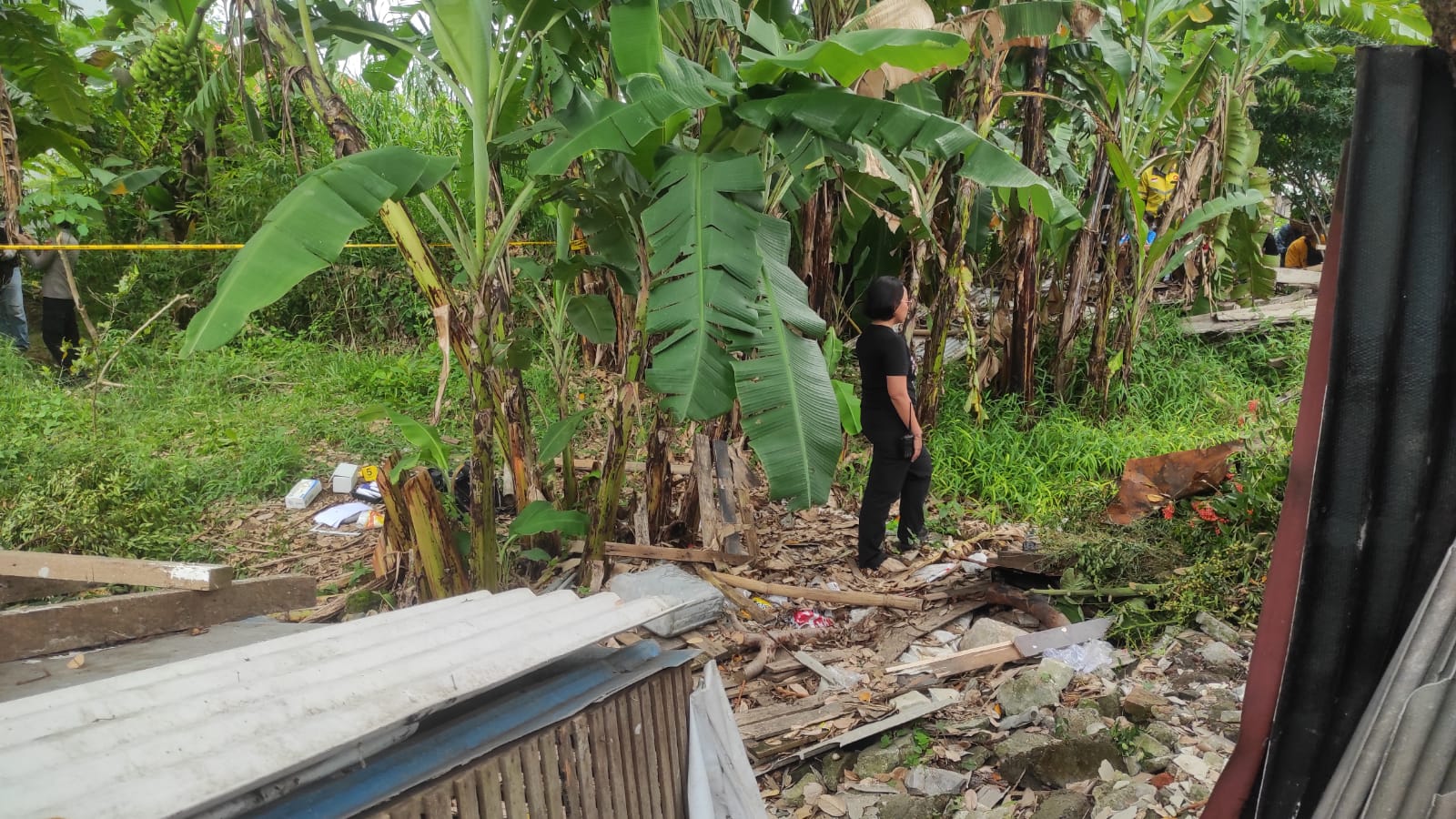 SADIS: Kapolsek Denpasar Barat Kompol Laksmi Trisnadewi W., S.H., S.I.K.mengecek lokasi pembunuhan di kebun jalan Pura Demak Denpasar