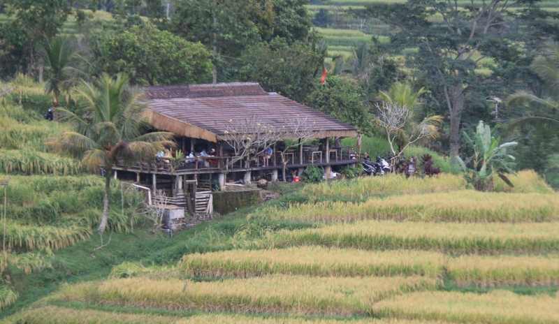 DI TENGAH PERSAWAHAN : Bangunan restoran di  tengah subak yang ada di kawasan warisan budaya dunia (WBD) Jatiluwih, Penebel Tabanan.  (juliadi/radar bali)