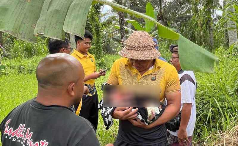 CARI ORTUNYA: Polsek Penebel yang melakukan olah TKP di lokasi penemuan bayi perempuan di jalan raya Pemanis-Marga, Desa Biaung, Kecamatan Penebel, Tabanan.(istimewa)