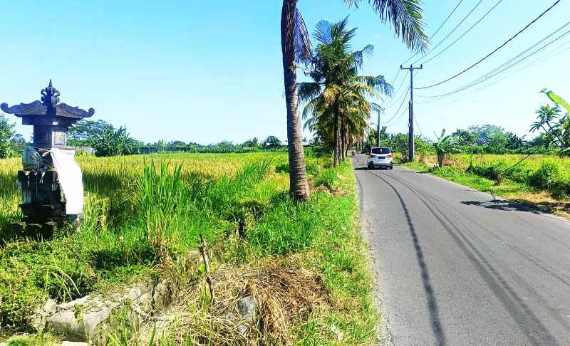 JALANAN  SUNYI : Situasi Jalan Tegenungan Kemenuh menuju Desa Sukawati, Gianyar,  di siang hari. (foto:Istimewa)