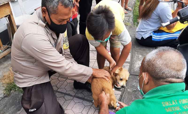 JATAH PAS-PASAN : Vaksinasi antirabies di Klungkung beberaapa waktu lalu. (dok.radar bali)
