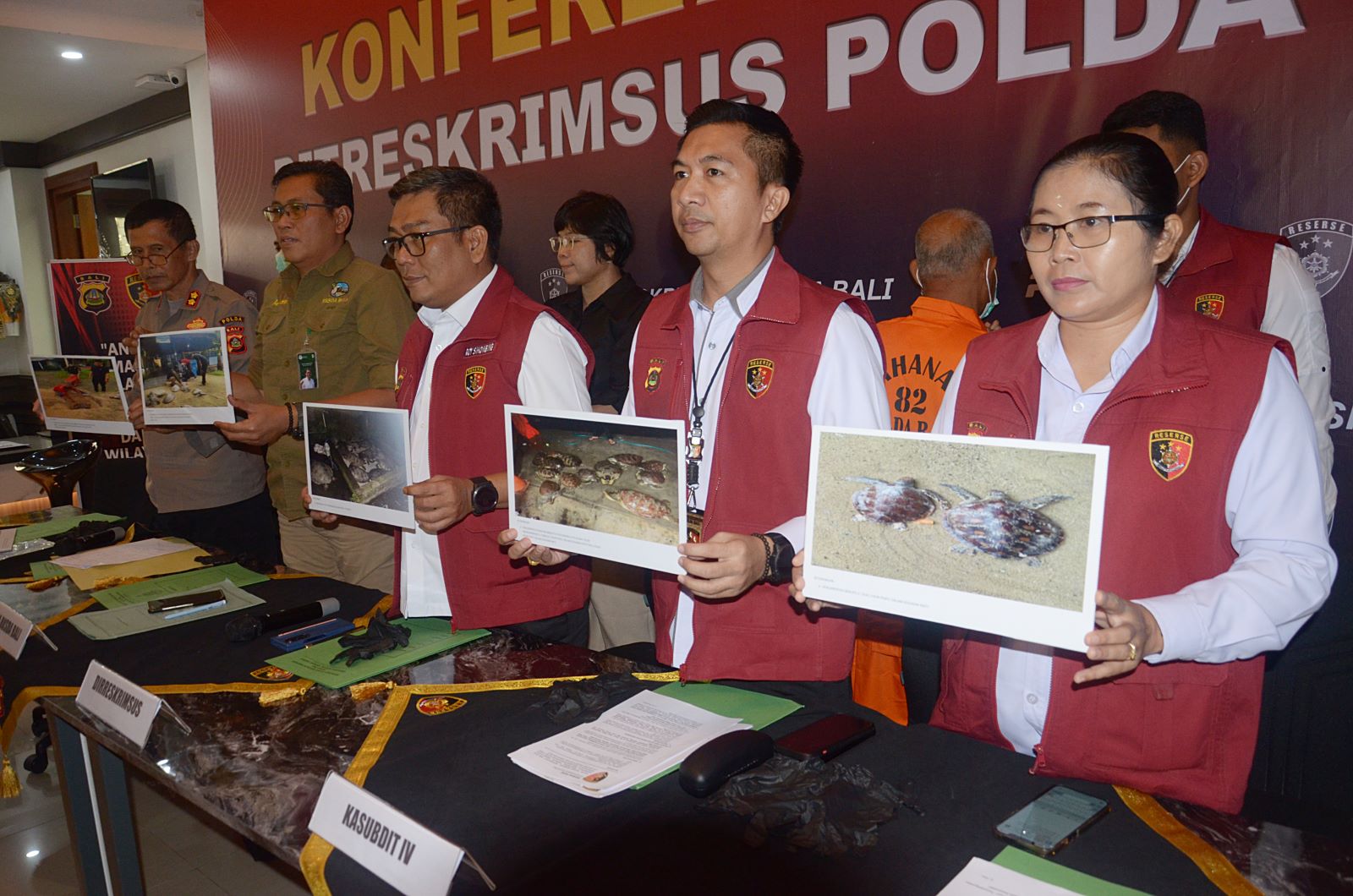 DIBEKUK: Kakek WW, diamankan polisi karena kasus penyu, penyidik menunjukkan foto barang bukti saat gelar kasus, 24 Maret 2025.