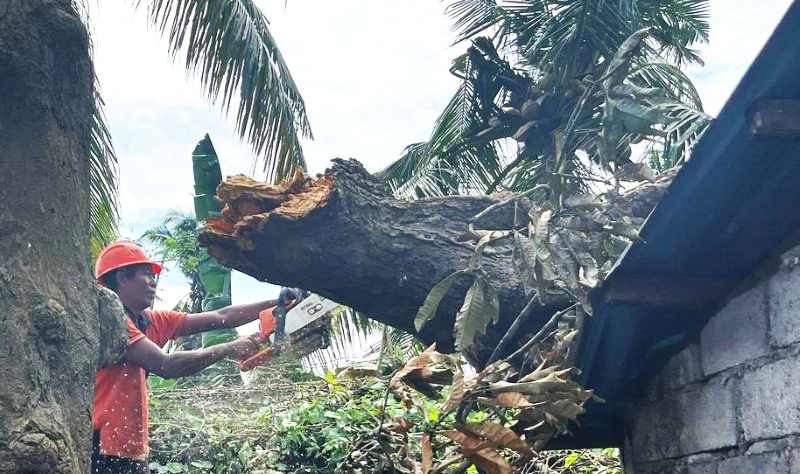 REMUK TERTIMPA POHON: Pohon tumbang ini menimpa bangunan kantin SDN 3 Lebih, Gianyar. (BPBD Gianyar)