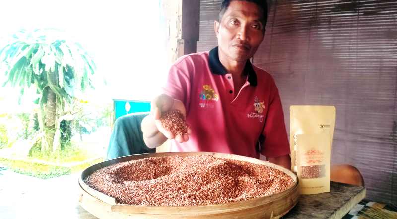 PRODUK PANGAN ANDALAN : Produksi beras merah hasil petani di Subak Jatiluwih, Desa Jatiluwih, Penebel Tabanan.(juliadi/radar bali)