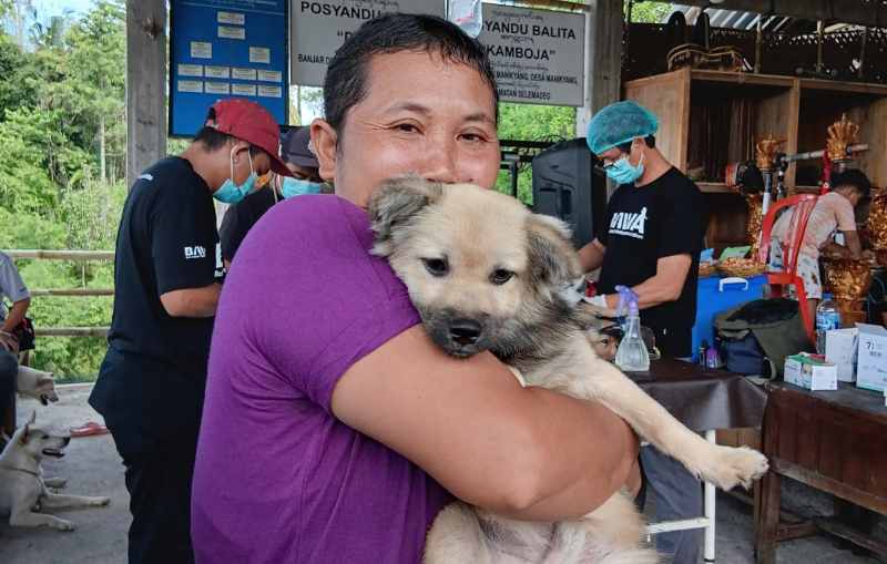 DISTERILKAN: Sterilisasi anjing dan kucing di Desa Manikyang, Kecamatan Selemadeg Tabanan. (juliadi/radar bali)